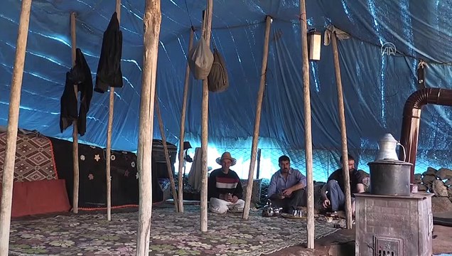 Doğu'nun verimli yaylaları göçerlerlerle şenlendi - AĞRI