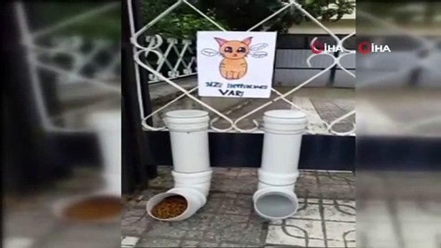 10 yaşındaki Hatice sokak hayvanları için evinin önüne kurduğu düzenek ile herkese örnek oldu