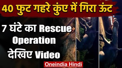 Viral Video : 40 फुट गहरे कुंए में गिरा ऊंट,7 घंटे का Rescue Operation,Watch Video | वनइंडिया हिंदी