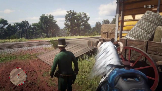 Red Dead Redemption 2 Online Localización de Objetos Colección de Peluqueros