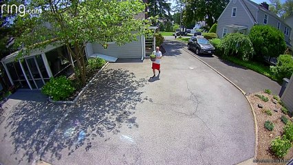 Black Bear Startles Residents Wandering Through Backyard
