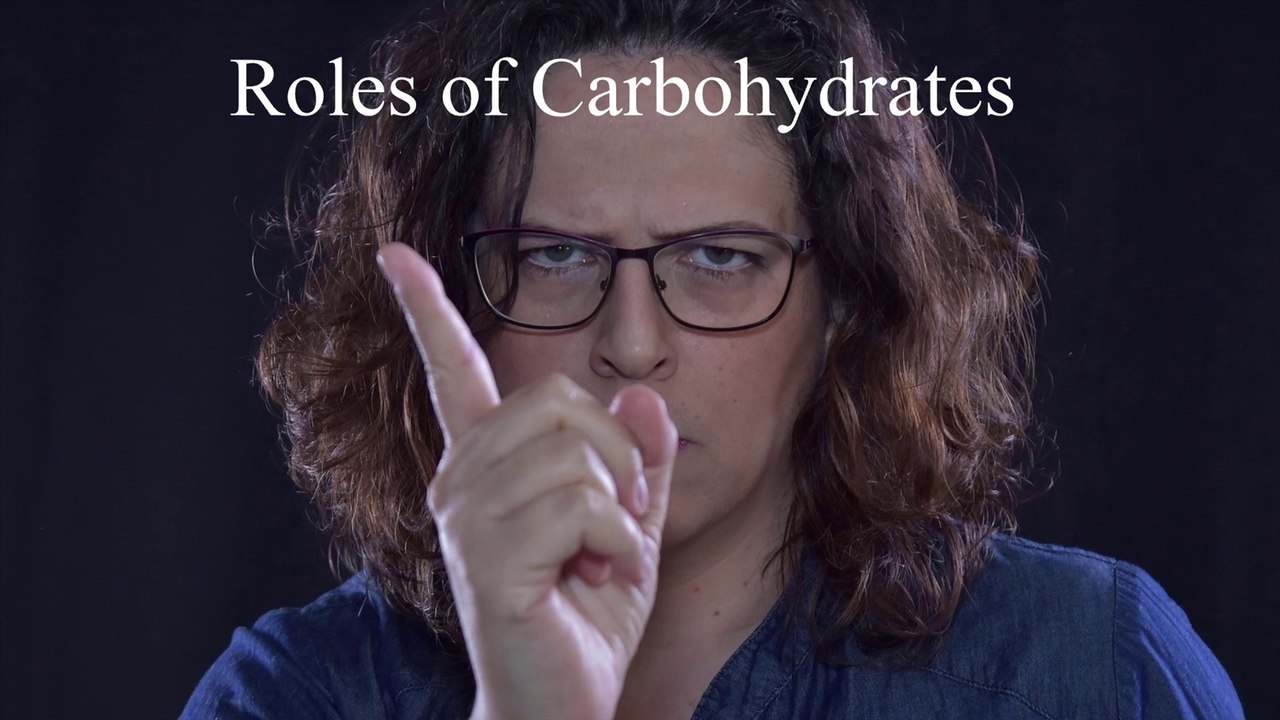 Nutrition Carbohydrates What are they? What are their Functions in the Human Body? Sugar Sugar