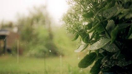 "Relaxing Music For Stress Relief"Soothing Piano Music, Water Relaxation Music