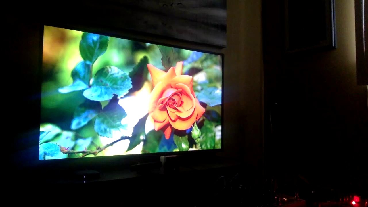 bass 9 EHX on synth 9 Electro-Harmonic music étrange atmosphère sombre mystèrieu