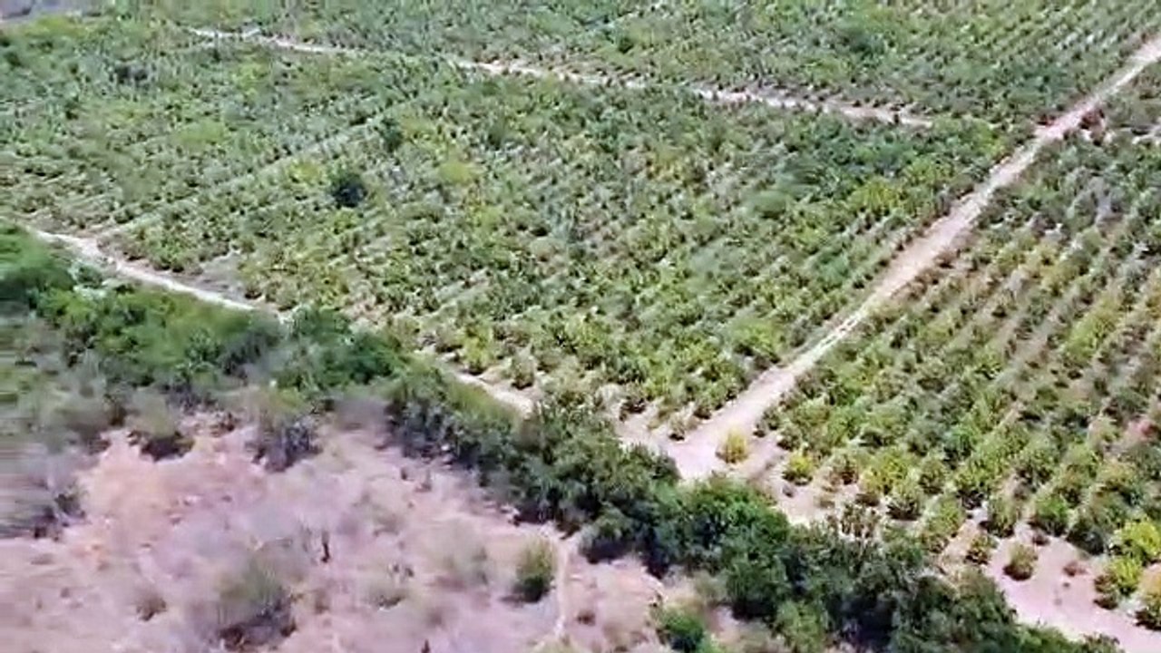 Tras enfrentamientos, autoridades realizan sobrevuelos en Tepuche