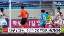 [프로축구] 대구, 서울에 골폭풍…6골차 대승