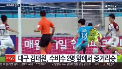 [프로축구] 대구, 서울에 골폭풍…6골차 대승