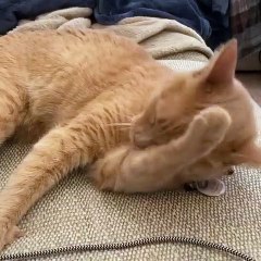 sweet bath time session in the midst of the fam on the couch