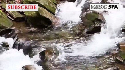 RELAXING MUSIC FOR READING- MÚSICA RELAJANTE PARA LEER