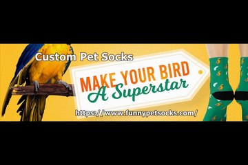 Custom Pet Socks
