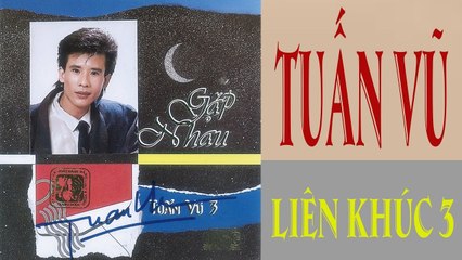 TUAN VU  LIÊN KHÚC TUẤN VŨ 3 ALBUM GẶP NHAU NGHE MÀ CẢM THẤY NÃO LÒNG QUÁ