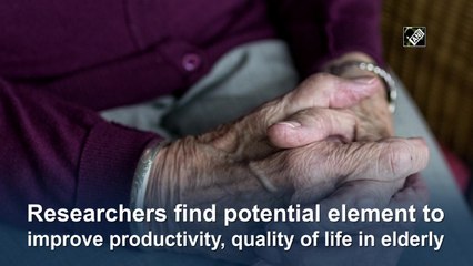 Researchers find potential element to improve productivity, quality of life in elderly