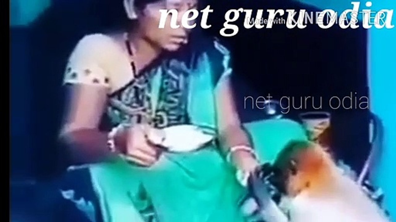 Hungree monkey takes foods from a woman