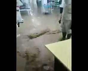 கொரோனா உச்சத்தில் மகாராஷ்டிரா.. கோவிட் 19 மருத்துவமனைகளில் திபுதிபுவென புகுந்த மழைநீர்