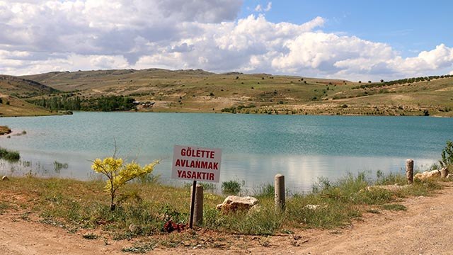 Güzelyurt Göleti'nde balık ölümleri paniğe neden oldu