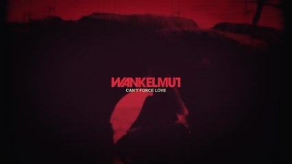 Wankelmut - Can't Force Love