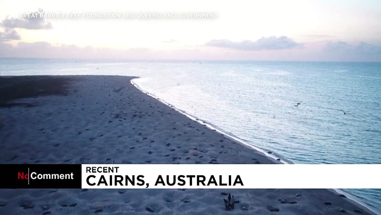 Researchers turn to drones to track thousands of migrating sea turtles in Australia
