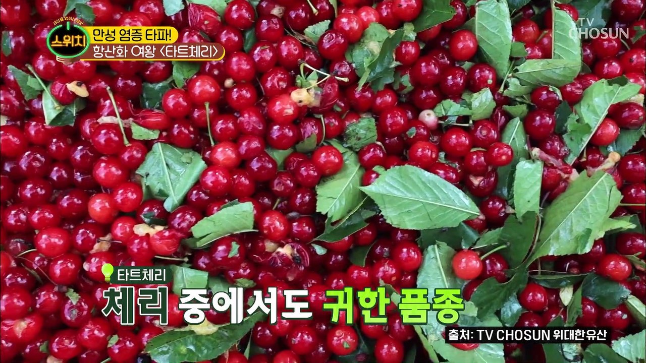 만성 염증 잡는 과일 ▸이것◂의 정체는?