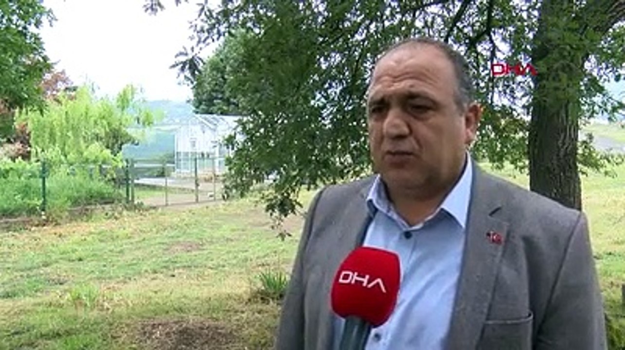 Kenevirde 2 yeni tür tohum üretildi