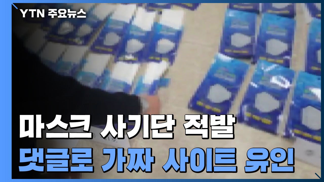 가짜 사이트로 마스크 판매 사기 친 일당 잡았다 / YTN