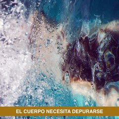 Curso online en la Escuela CuerpoMente 'Cómo hacer una dieta detox. Plan detox en 7 días'