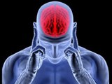 7pa5 - Zbulohet qendra e trurit qe qeteson dhimbjet – 15 Qershor 2020 – Vizion Plus