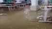 Jalgaon : Heavy Rain Floods Ground Floor Of COVID-19 Hospital