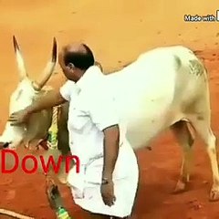 বাংগালী_উতলা_হয়ে_গেল_লক_ডাউনে#animal_#crona_virus_#covid19_#funny_video