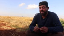 İdlib'de saldırı ve göç, buğday hasadını olumsuz etkiledi