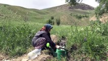 Kovid-19 sürecinde köyüne dönüp sebze bahçesi kurdu - HAKKARİ