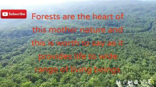 Know the forests|interesting facts of forests|scenery|educational video|are you aware of these facts about the forests|entertainment and education