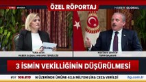Meclis Başkanı Mustafa Şentop'tan 'Deniz Gezmiş' açıklaması: Farklı yollar izlenebilir