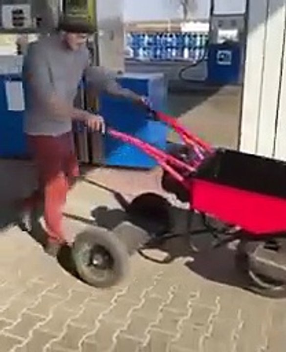 Top funny videos, 热门搞笑视频, トップ面白い動画