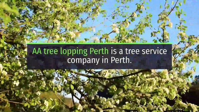 Tree Lopping Perth | +61863704951