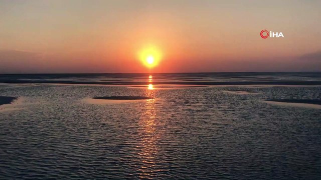 Doğa harikası Tuz Gölü’nde yavru flamingo şöleni