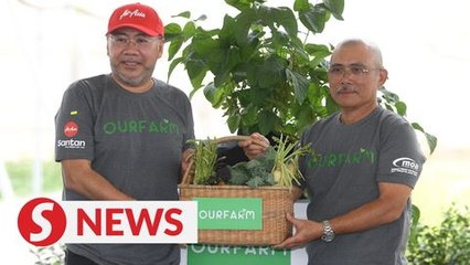 AirAsia launches e-commerce platform to help farmers