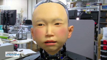 Au Japon, où la natalité atteint son plus bas niveau, les androïdes ressemblent à des enfants