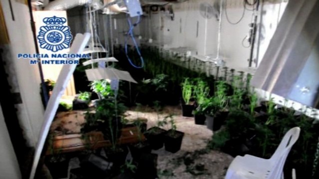 Desarticulado uno de los clanes de la droga más activo y fructíferos de C-LM