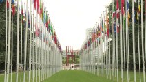 BM İnsan Hakları Konseyi 