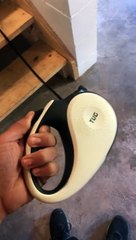 Demonstrating the Dog Leash