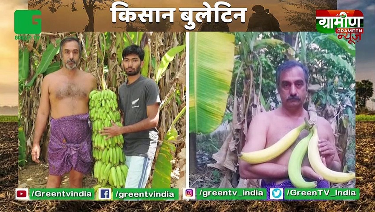3 Acre के खेत में केले(Banana) की  430 प्रजातियों  उगाते है ये Kisan सालाना 12 Lac की कमाई : Kisan Bulletin : Grameen News