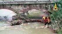 Loano (SV) -  Rimosso albero sotto ponte ferroviario (15.06.20)