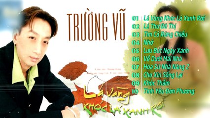 TRƯỜNG VŨ ông hoàng nhạc vàng  LK Những ca khúc nhạc vàng hay nhất tuyển chọn PHẦN 6