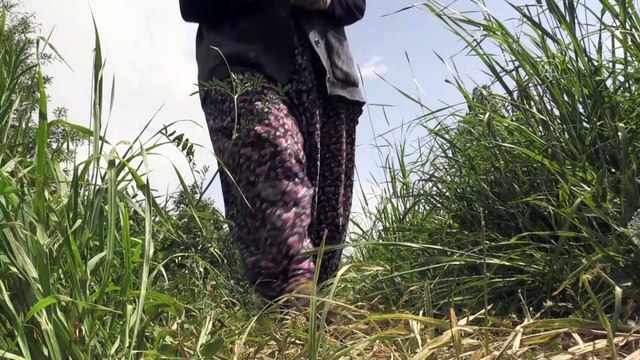 Kovid-19 sürecinde köyüne dönüp sebze bahçesi kurdu - HAKKARİ