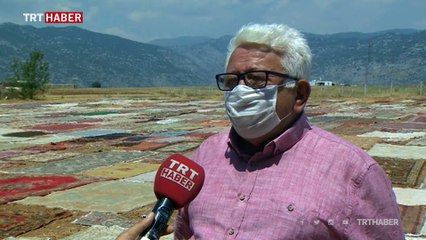 Antalya'da buğday tarlaları halılarla kaplandı