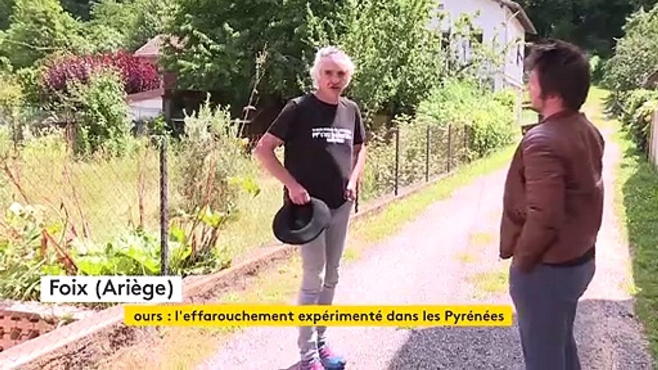 L'effarouchement des ours reconduit dans les Pyrénées