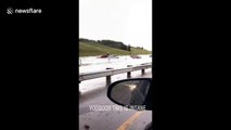 Extreme flooding leaves cars submerged in Calgary, Canada