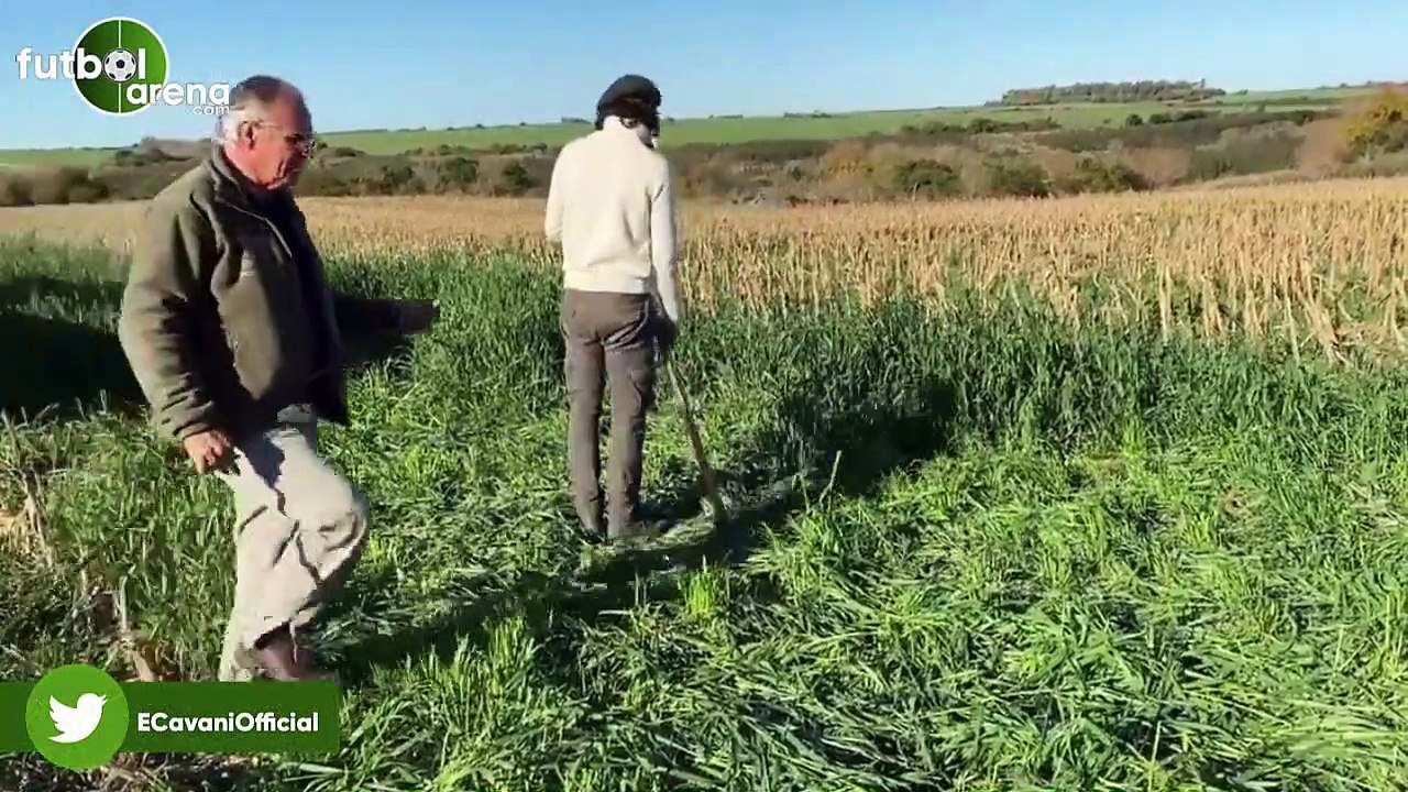 Cavani Ot Biçiyor