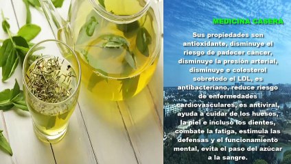 Te blanco para adelgazar contraindicaciones