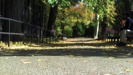 Hopelessly short film trailer | Movie Trailers